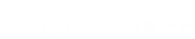 DataLeap